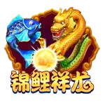 Www.yx2673.com